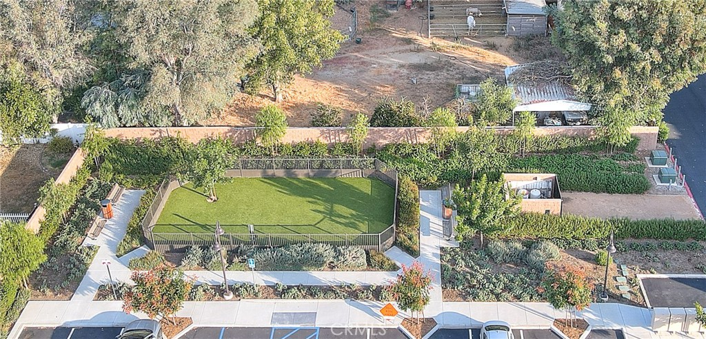 41985 Emelia Street 303