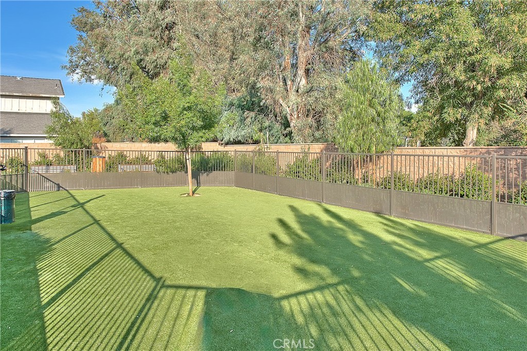 41985 Emelia Street 303