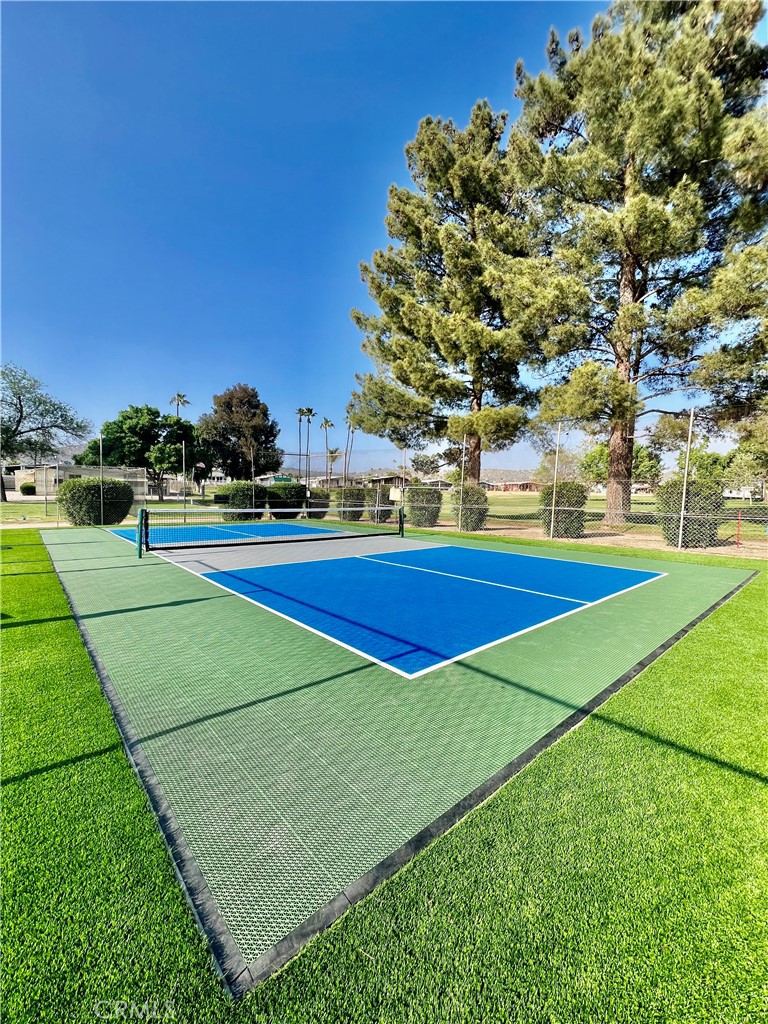 30615 Arenga Palm Drive