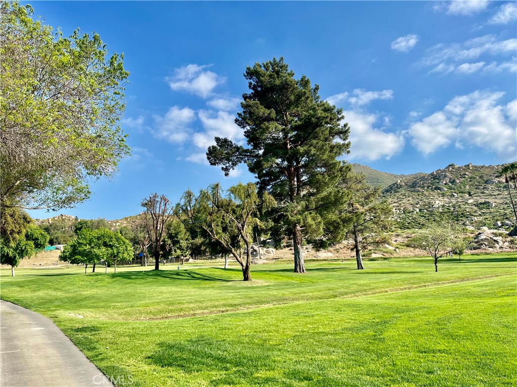 30615 Arenga Palm Drive