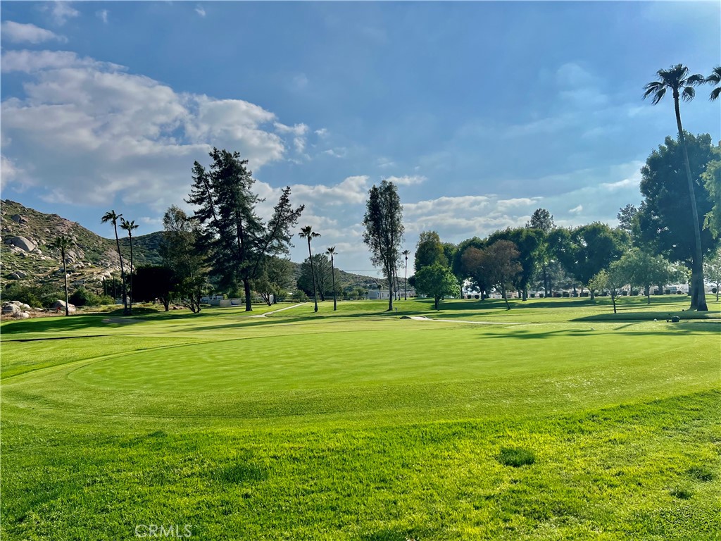 30615 Arenga Palm Drive