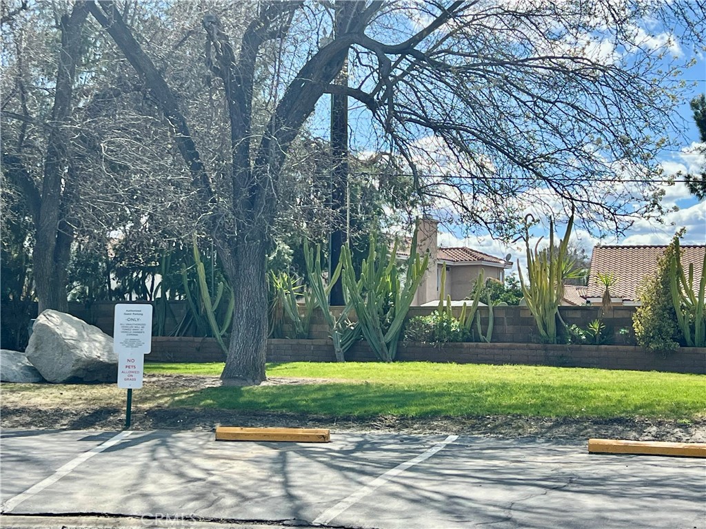 1499 Old Mountain Ave 30