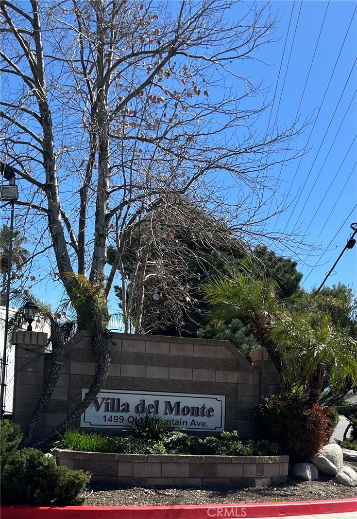 1499 Old Mountain Ave 30