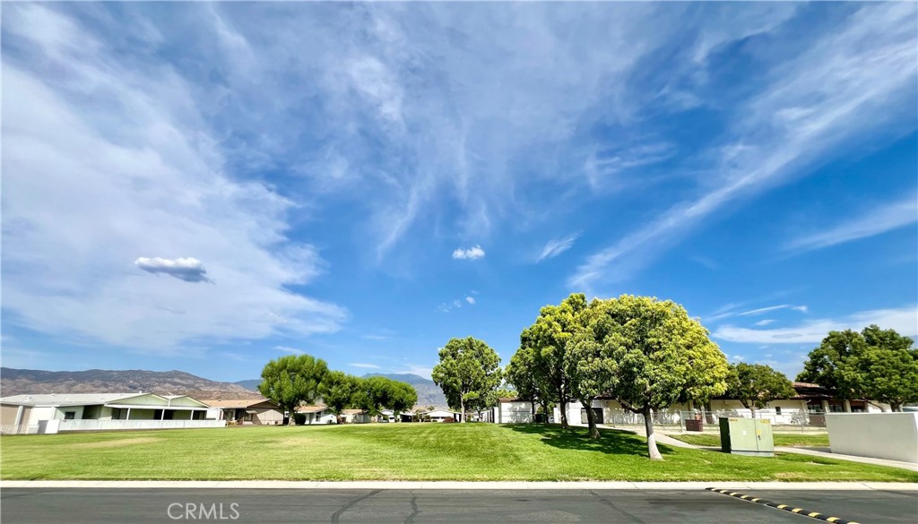 24600 Mountain Ave #8