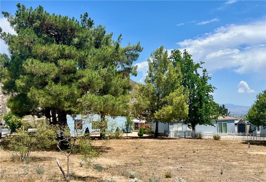 24515 California Avenue #1