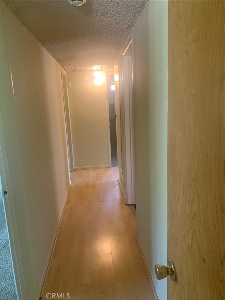 8438 Venus Drive