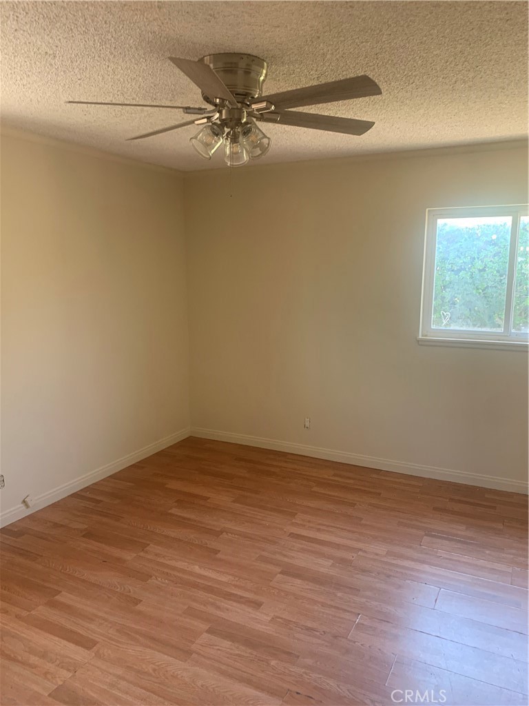 8438 Venus Drive