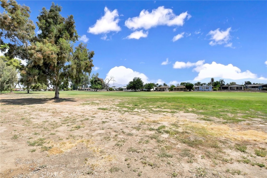 1428 Pepper Tree Drive