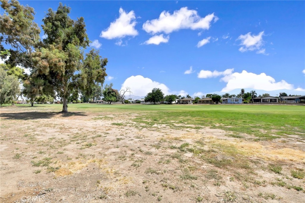 1428 Pepper Tree Drive