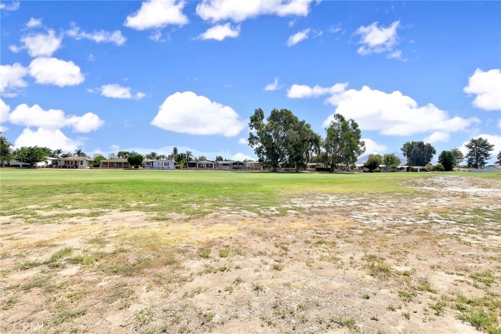 1428 Pepper Tree Drive