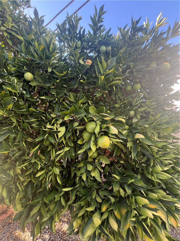 42751 E Florida Ave 163