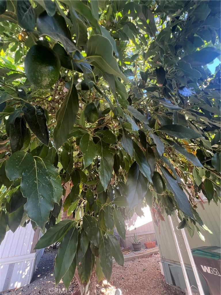 42751 E Florida Ave 163