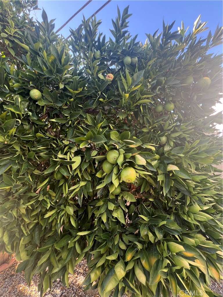 42751 E Florida Ave 163