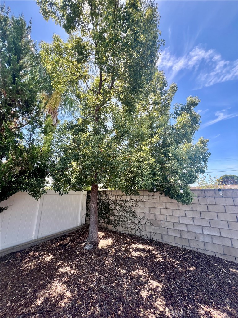 24600 Mountain Avenue 66