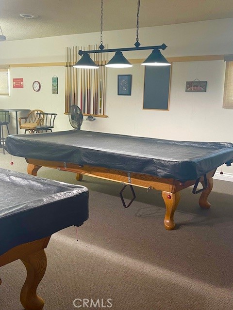 26076 Butterfly Palm Drive