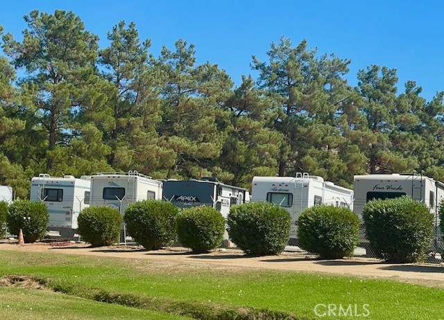 26076 Butterfly Palm Drive