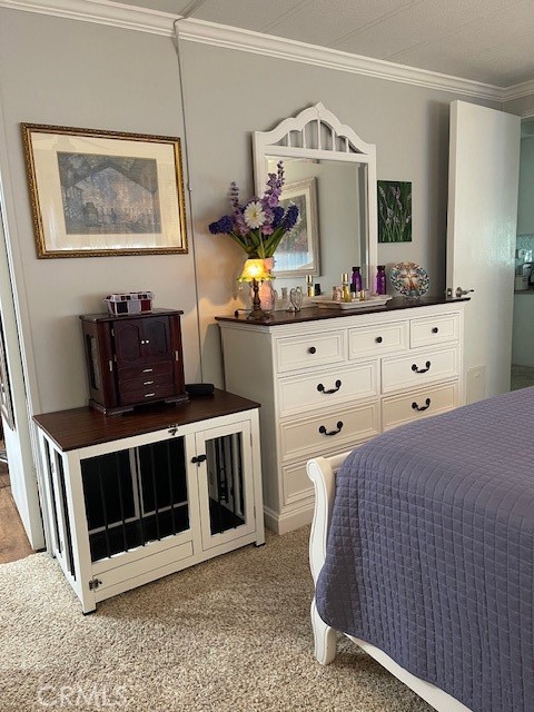 26076 Butterfly Palm Drive