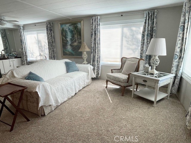 26076 Butterfly Palm Drive