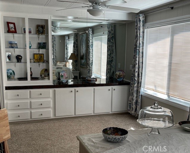 26076 Butterfly Palm Drive