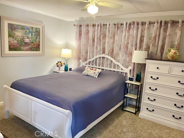 26076 Butterfly Palm Drive