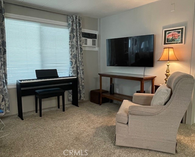 26076 Butterfly Palm Drive