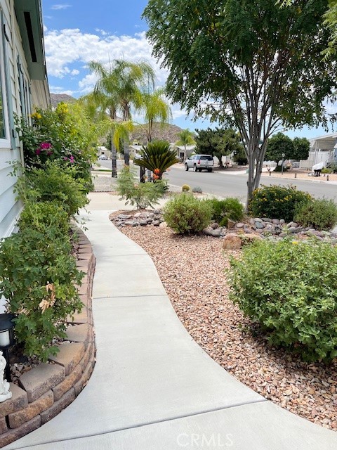 26076 Butterfly Palm Drive