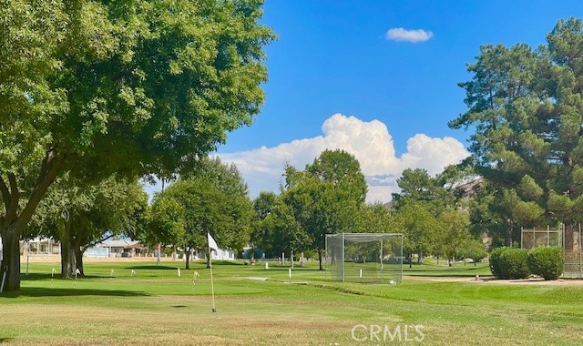 26076 Butterfly Palm Drive