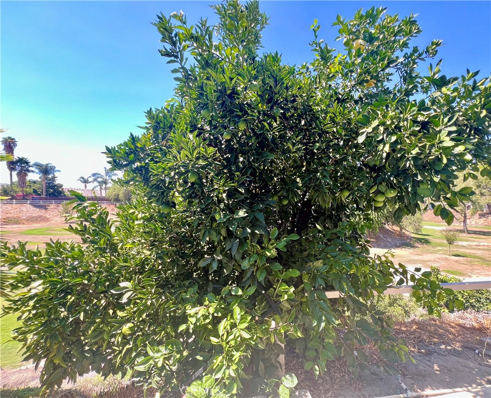 42751 E Florida Ave 19