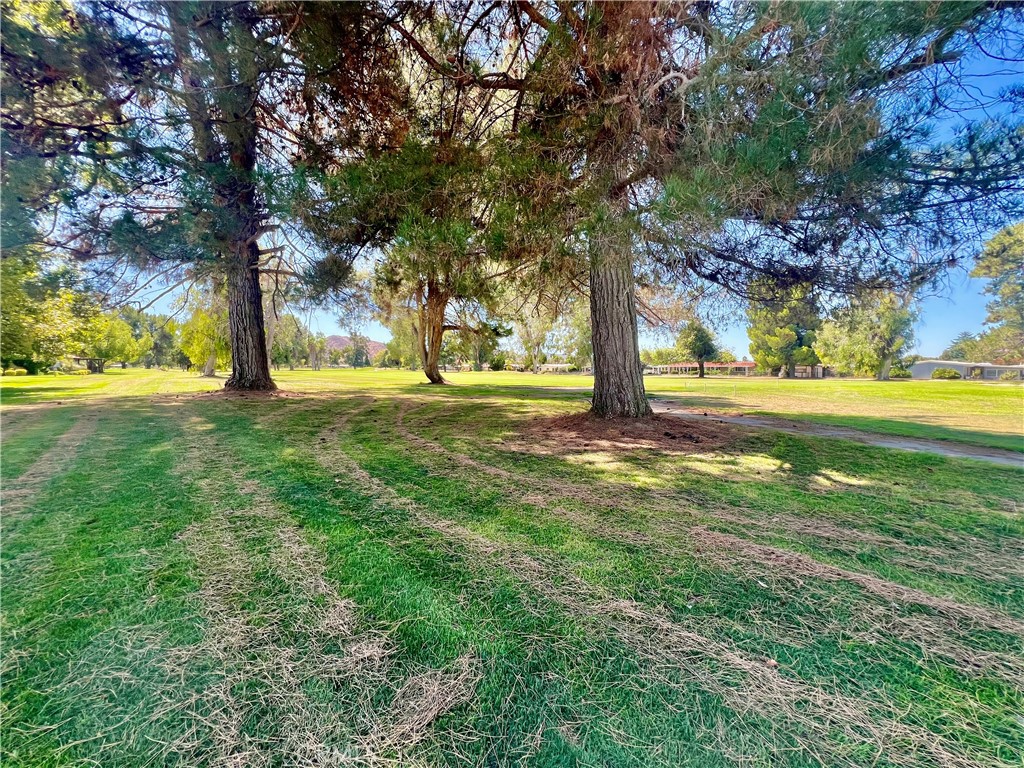 1229 Seven Hills Dr