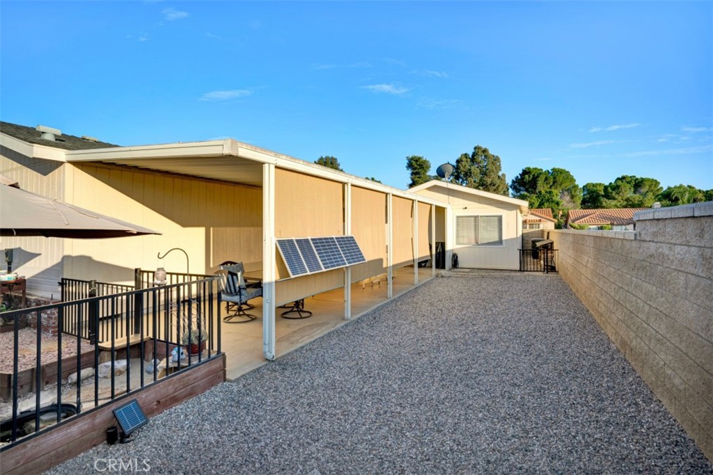 2952 2952 Peach Tree