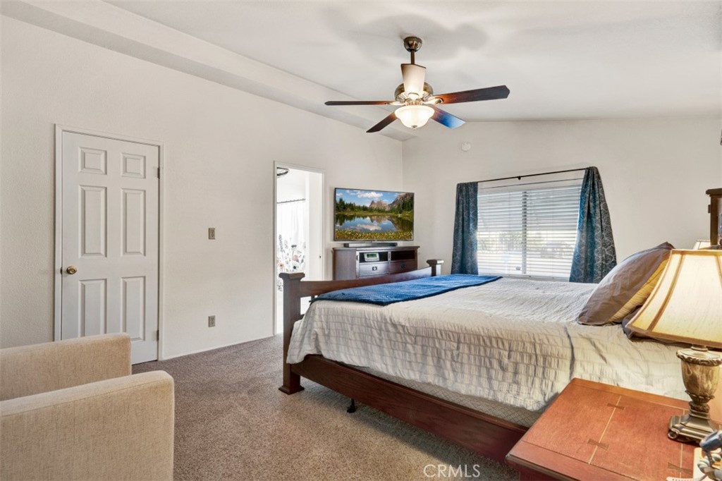 2952 2952 Peach Tree