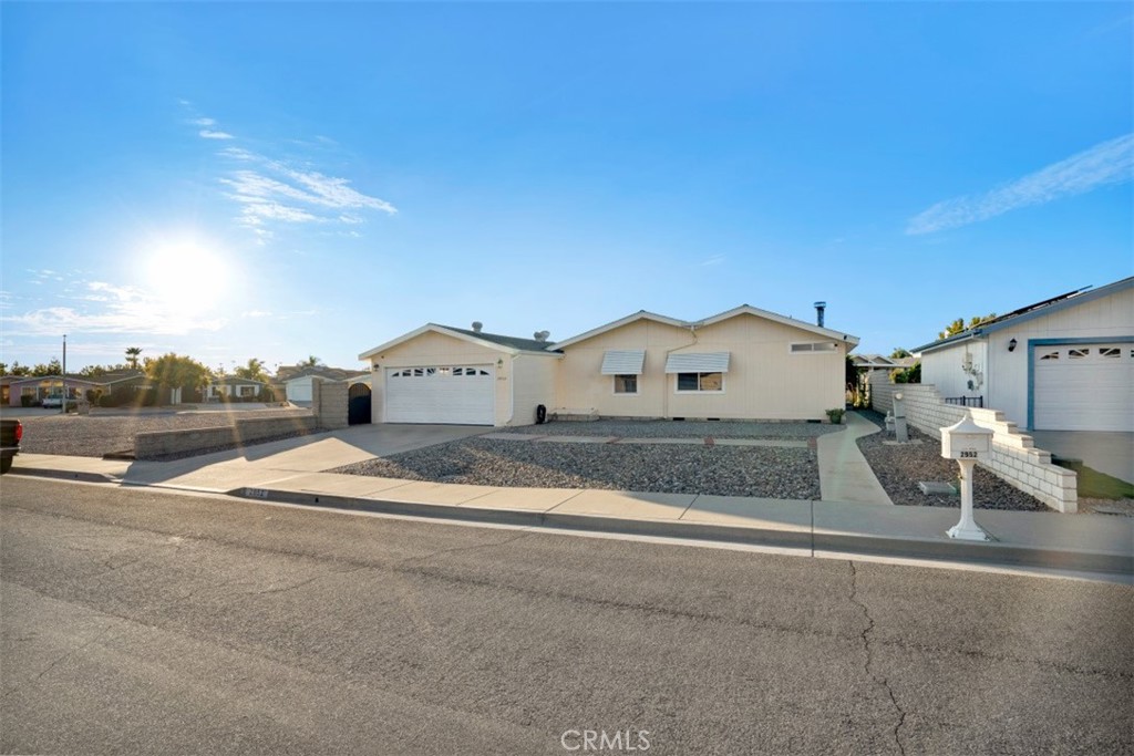 2952 2952 Peach Tree