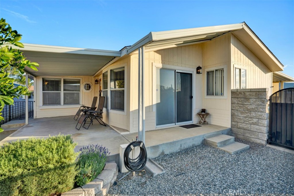 2952 2952 Peach Tree