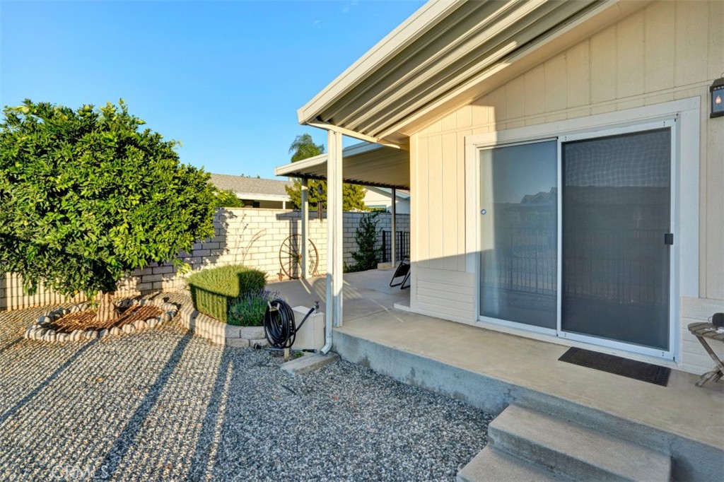 2952 2952 Peach Tree