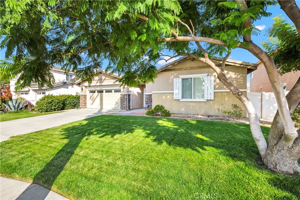 1569 Washington Avenue