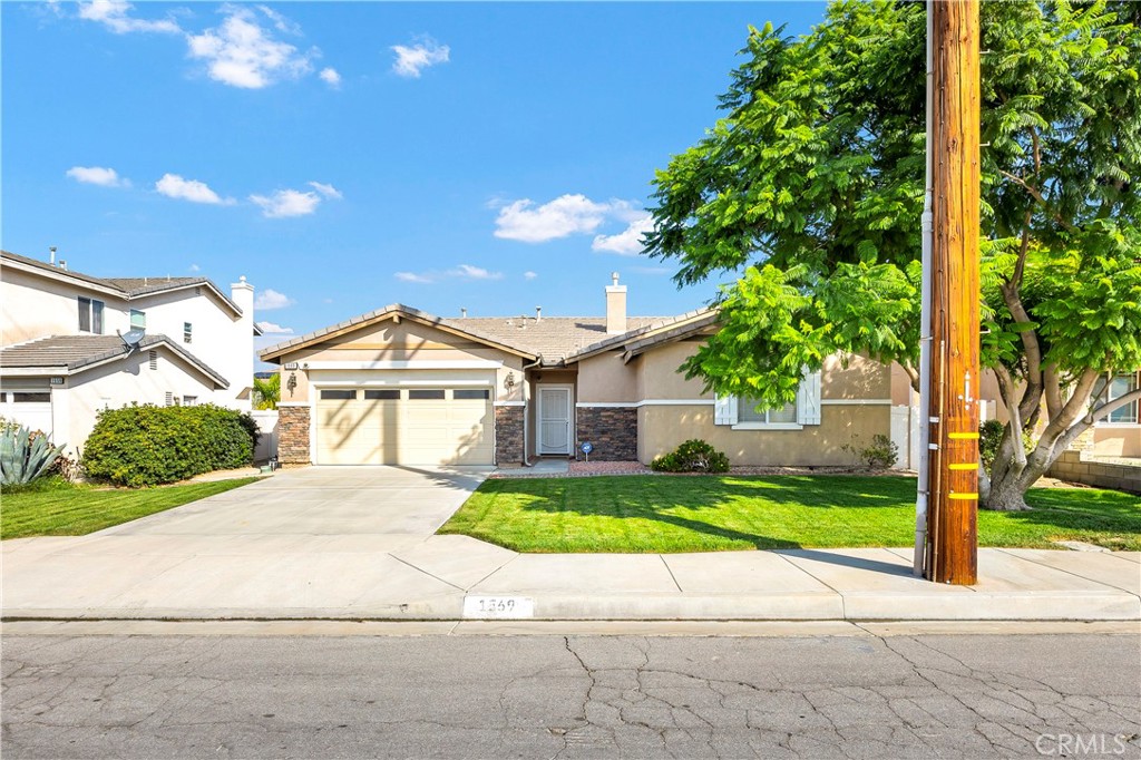 1569 Washington Avenue