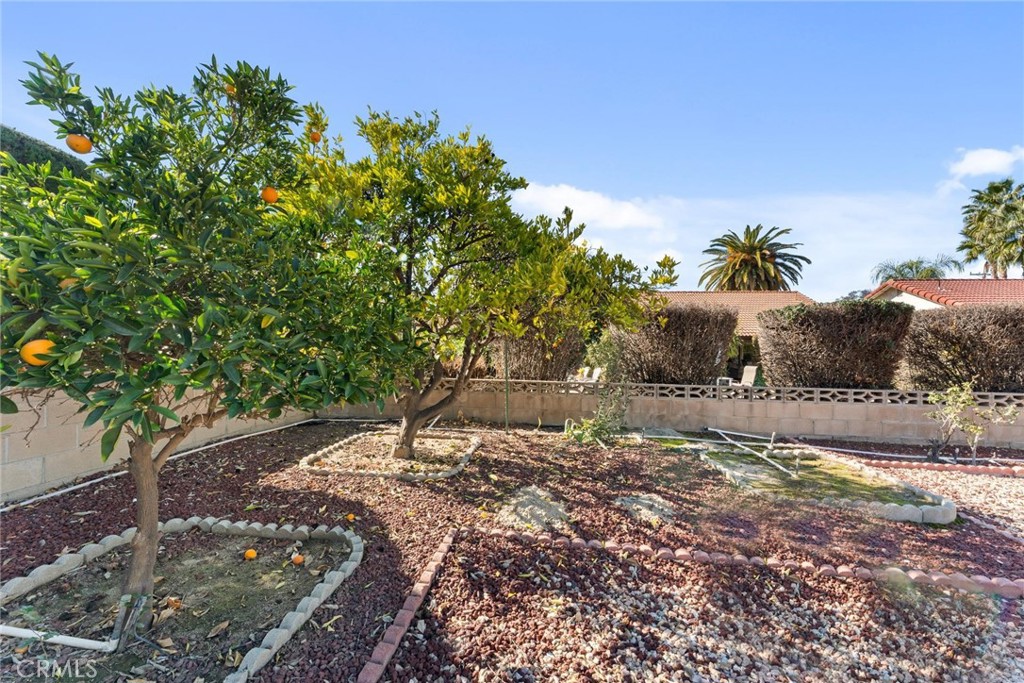 1127 Alleppo Court