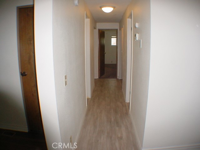 576 Palos