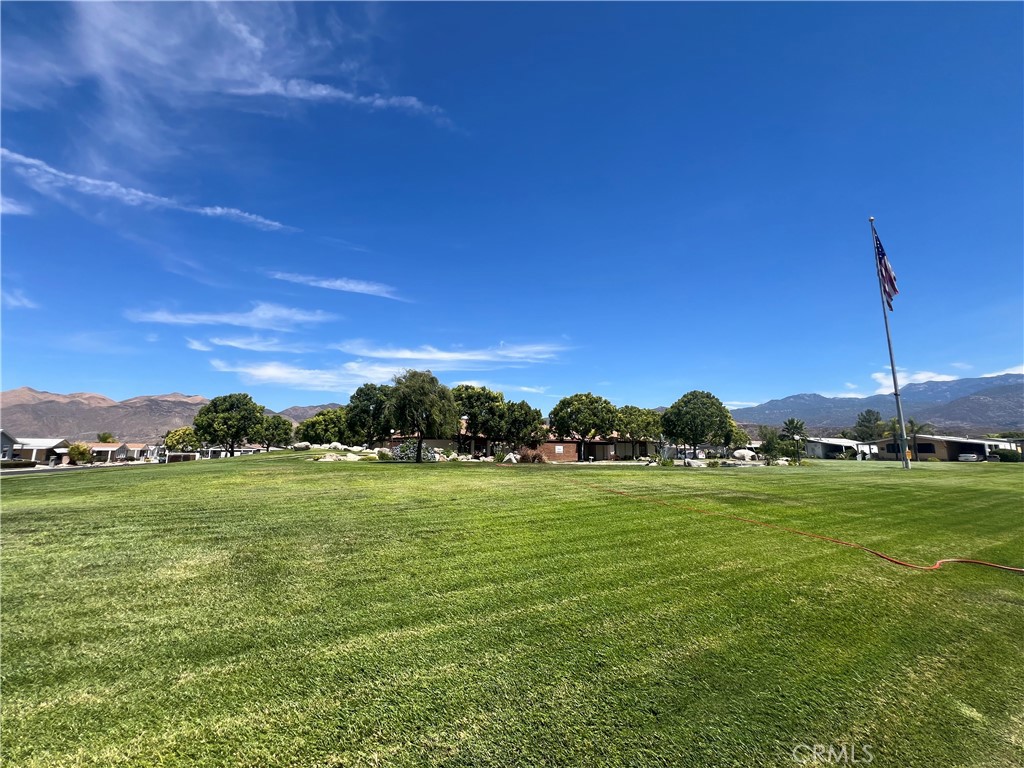 24600 Mountain Avenue