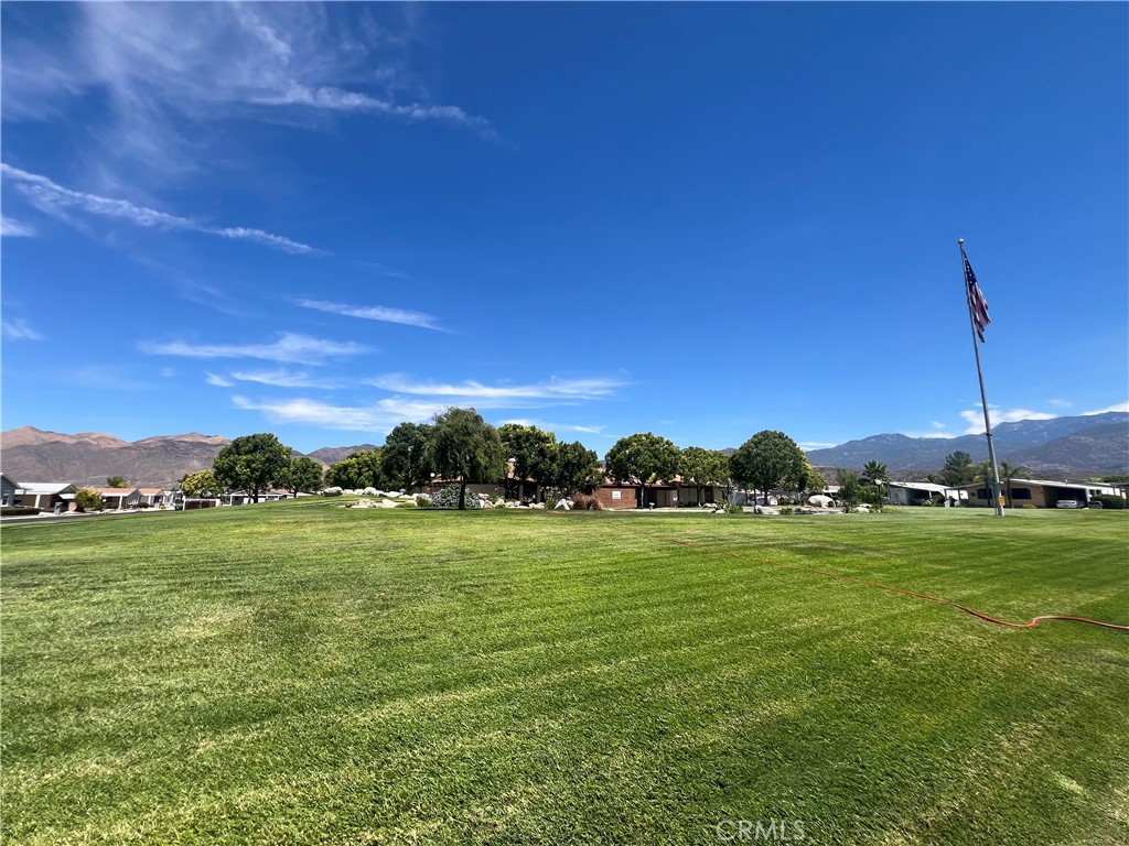 24600 Mountain Avenue