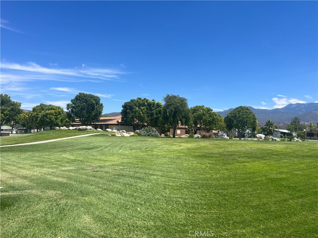 24600 Mountain Avenue