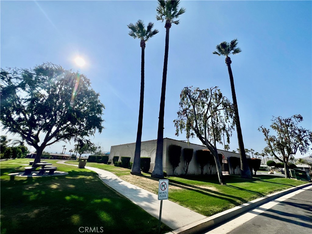 30615 Arenga Palm