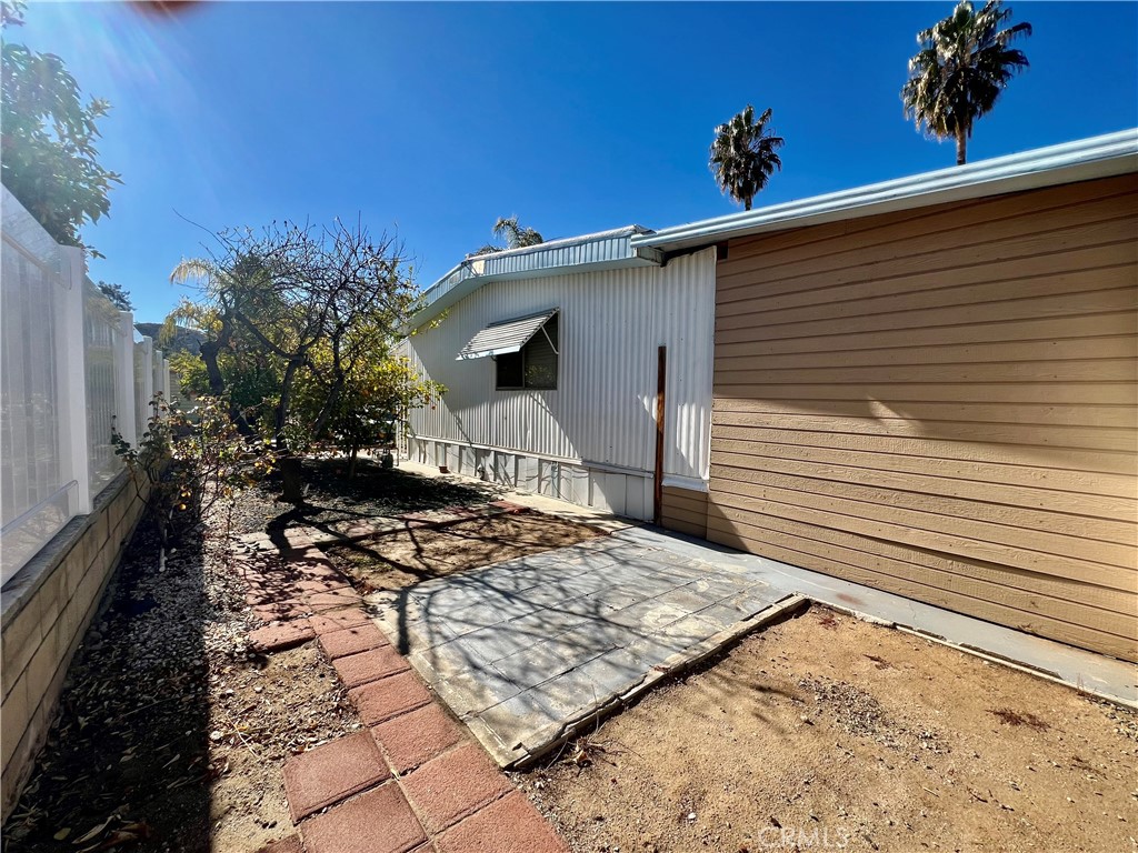 30615 Arenga Palm