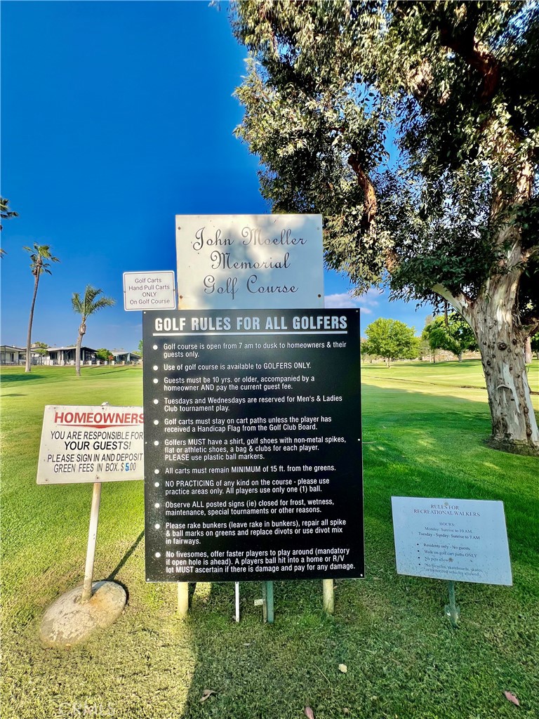 30615 Arenga Palm
