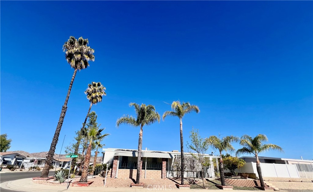30615 Arenga Palm