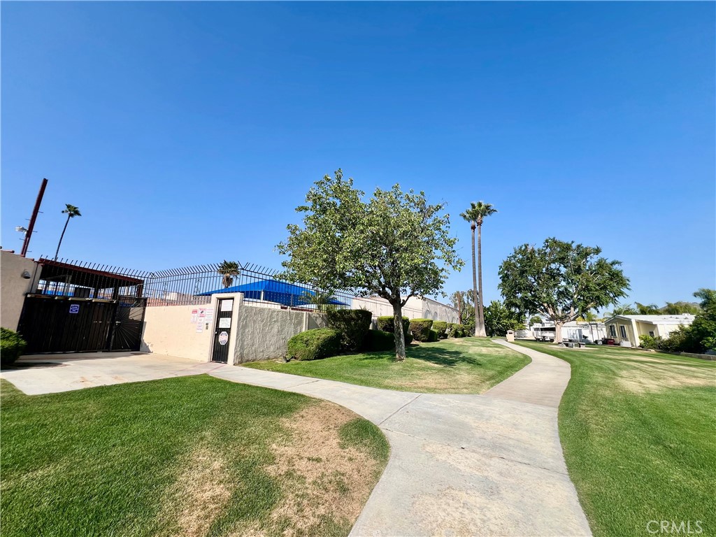 30615 Arenga Palm