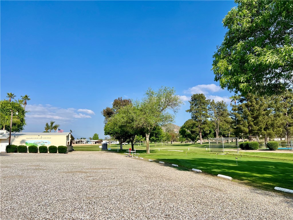 30615 Arenga Palm