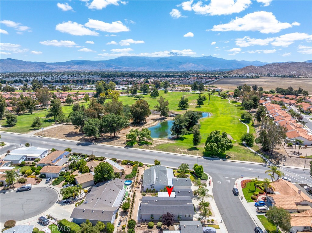 2514 Peach Tree