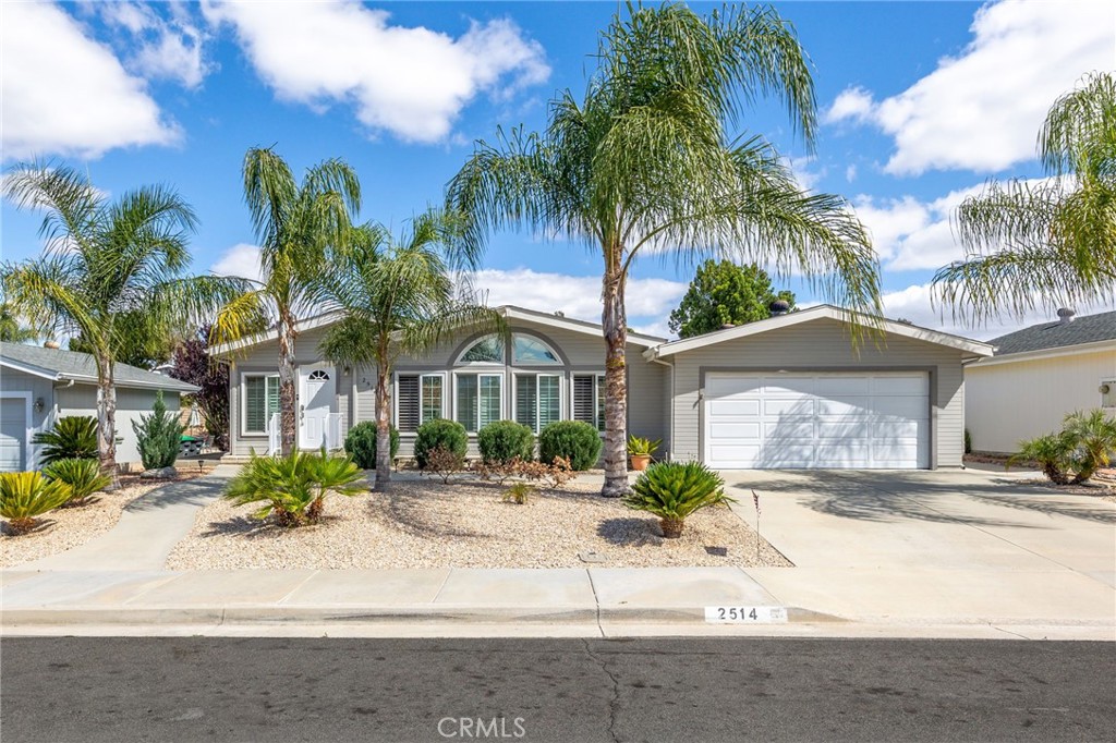 2514 Peach Tree
