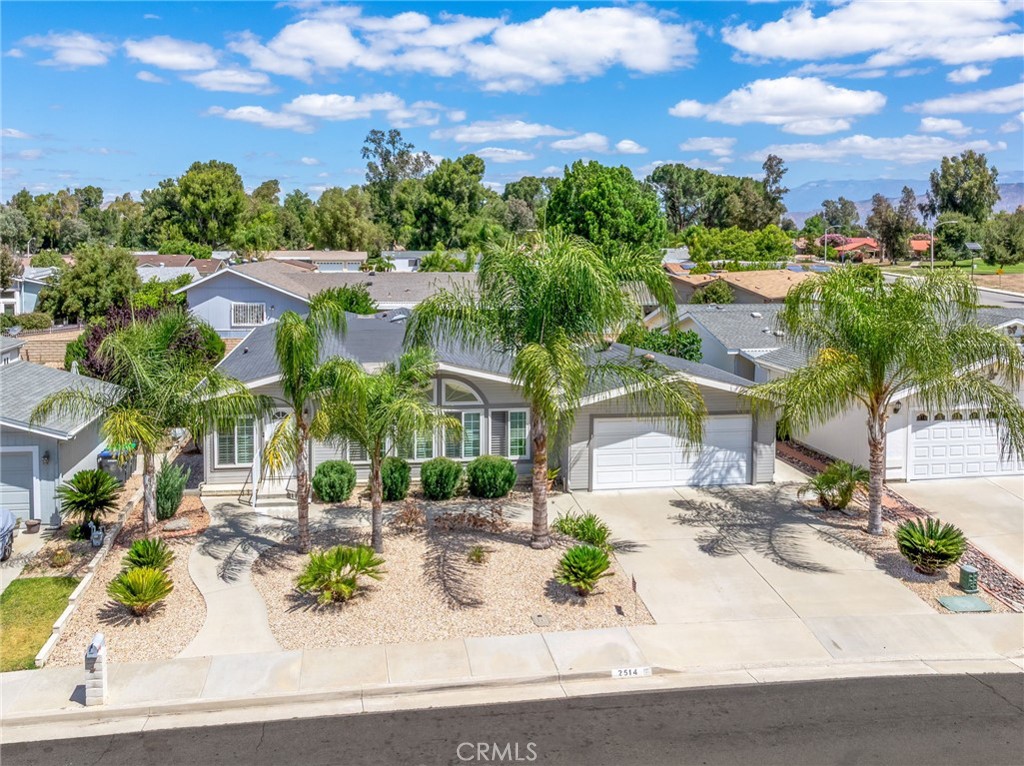 2514 Peach Tree
